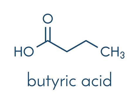 Draw The Structure Of Sodium Butanoate