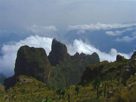 Tour to Bale Mountains National Park – Scenic Ethiopia Tours