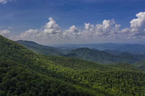 7 Reasons Blood Mountain is our Favorite Family Hike