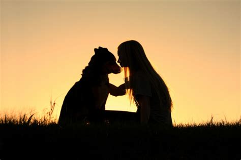 Woman Hugging Dog Silhouette Stock Photo - Download Image Now - iStock