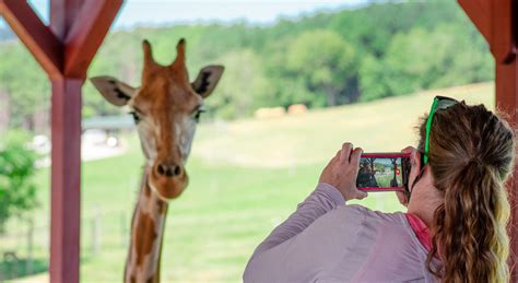 Virginia Safari Park, U.S. Zoo