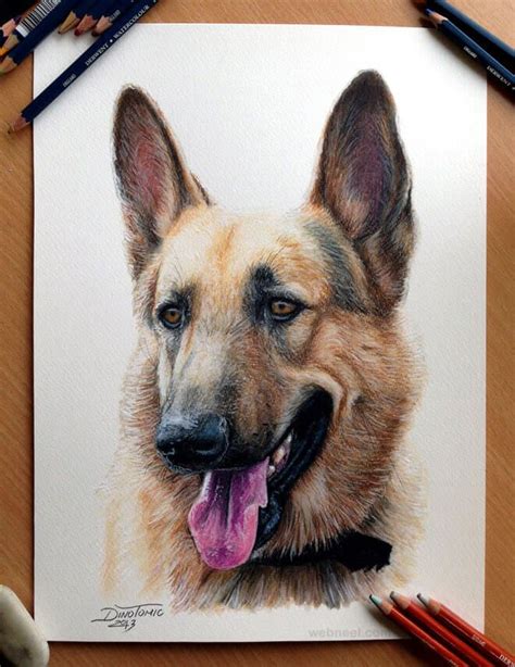 paintings of animals 5 (1) Realistic Animal Drawings, 3d Drawings, Easy ...