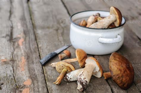 Picked edible forest mushrooms 1113437 Stock Photo at Vecteezy