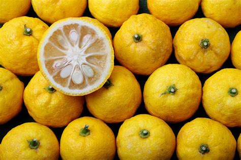 All About Yuzu. What Is It and What Does It Taste Like?