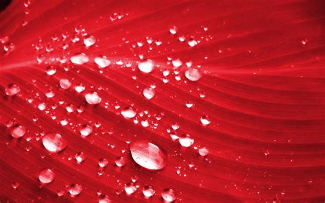 Red Water Wallpapers - Top Free Red Water Backgrounds - WallpaperAccess