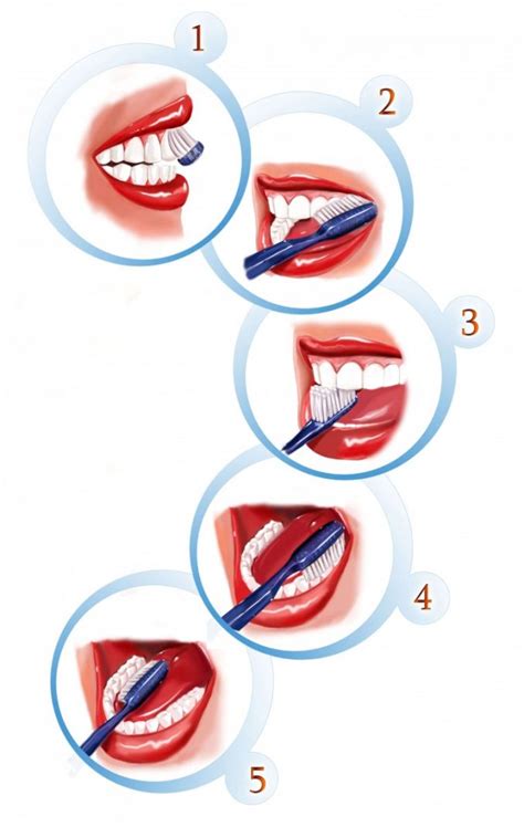 Different Methods and Steps – Proper Tooth Brushing Techniques