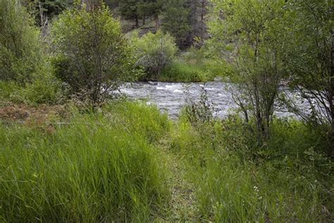 BLM Cebolla Creek Campground, Powderhorn, CO - GPS, Campsites, Rates, Photos, Reviews, Amenities ...