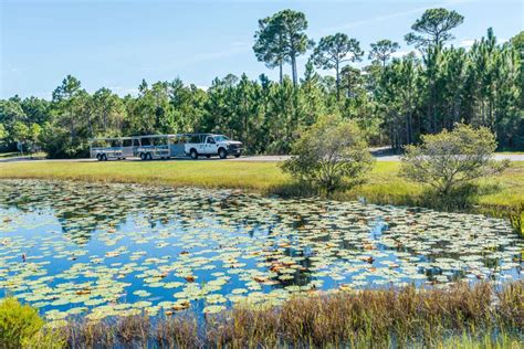 Topsail Hill Preserve State Park | SoWal.com