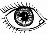 Eye Coloring Page At GetColoringscom  Free Printable Colorings Pages sketch template