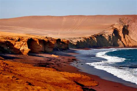 Desde Paracas: islas Ballestas y Reserva Nacional de Paracas | GetYourGuide