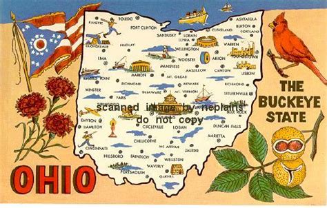 OHIO - The Buckeye State, Map, Flag, Bird, Flower, Tree 1960