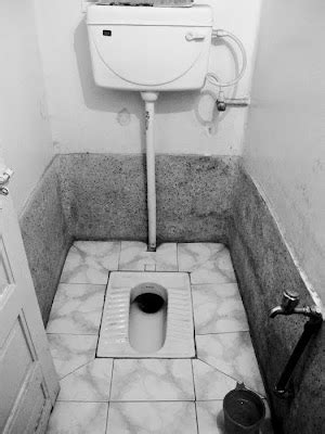 Sidor Adventures: India: Indian Style Toilets and Delicate Feminine ...