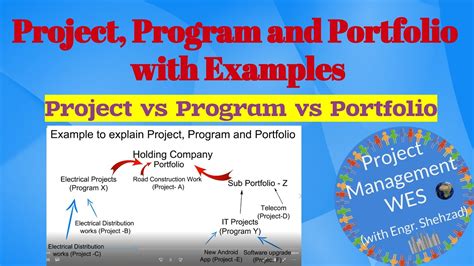 Project, Program and Portfolio with Examples, Project vs Program vs Portfolio, Project ...