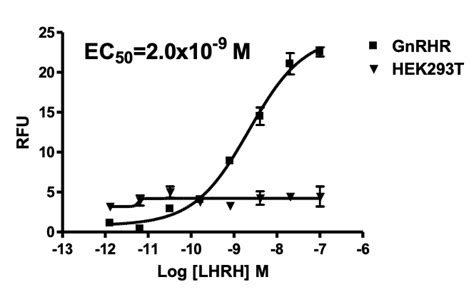 GnRH RECEPTOR - C1283 | Multispan, Inc