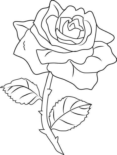 Get Everything You Need Starting at $5 - Fiverr in 2021 | Rose coloring pages, Flower coloring ...