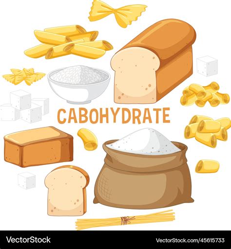 Variety of carbohydrates foods Royalty Free Vector Image