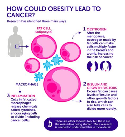 Does obesity cause cancer? | Cancer Research UK