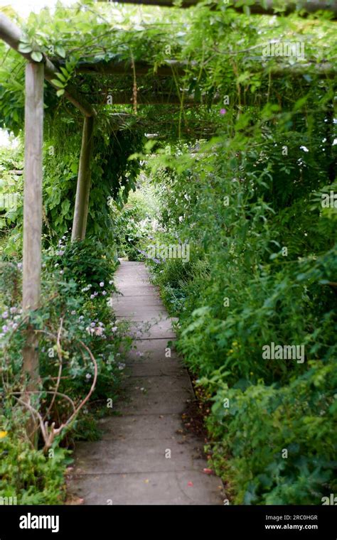 English garden borders full of flowering plants Stock Photo - Alamy