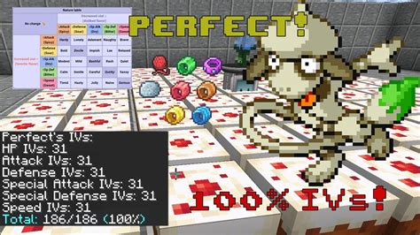 Pixelmon - How To Breed 100% IV Pokemon (From Start To Finish) - YouTube