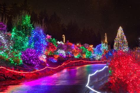 Rainbow Colored LED Christmas Lights | Creative Displays