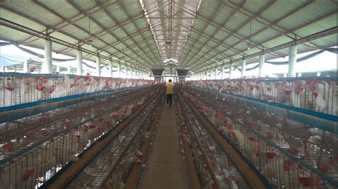 A Visit to an Egg Farm – Agriculture Monthly