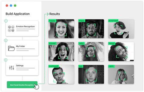 Facial Emotion Recognition Solutions