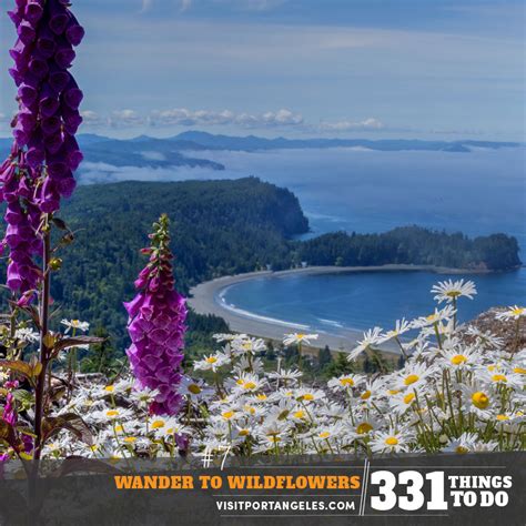 Olympic National Park Hiking - Summer Hikes to See Wildflowers