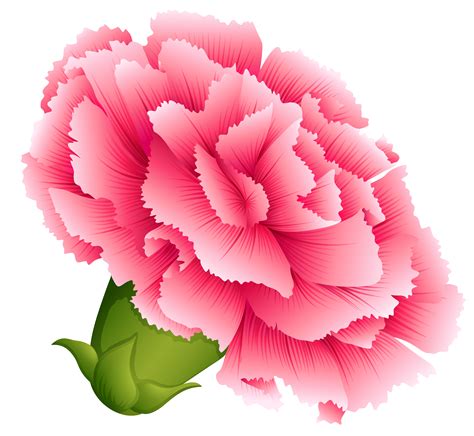 a single carnation clipart 10 free Cliparts | Download images on Clipground 2024