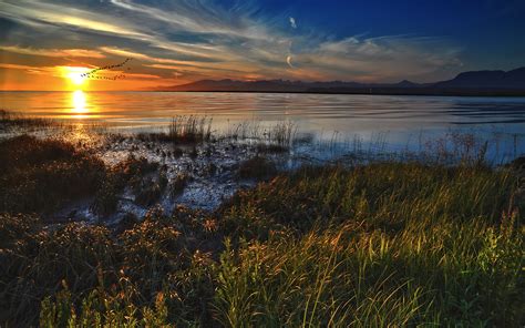 sunset, Ocean, Landscapes, Nature, Grass, Deviantart, Skyscapes ...