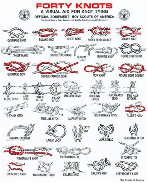 4 Best Handy Knot Guides You Can Print & Practice Anywhere | Knots guide, Knots, Survival