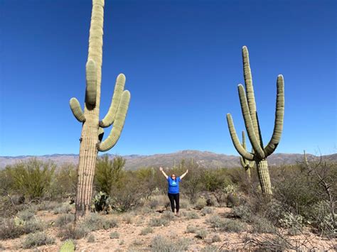 Saguaro National Park - Right Kind Of Lost