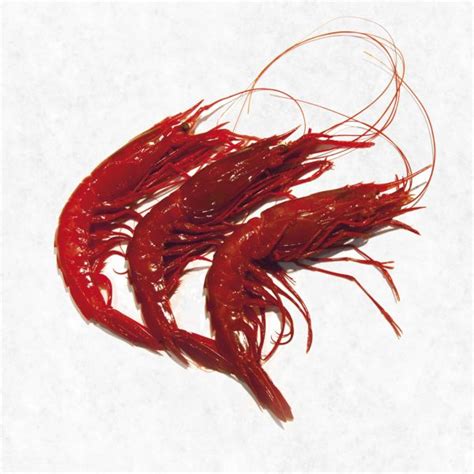 Carabineros Jumbo Prawn Sashimi Grade | 450g+- Royale Gourmet