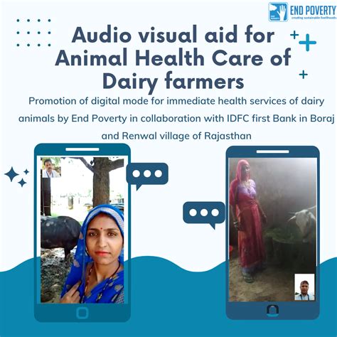 Promoting digital animal health care services in the villages. - End Poverty