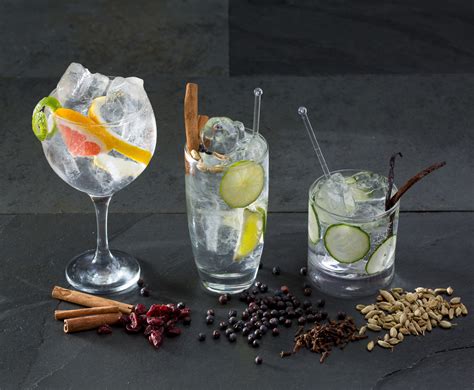 Gin Tonic in verschiedenen Gläsern. - Cocktails & Mixgetränke auf Cocktailbart.de