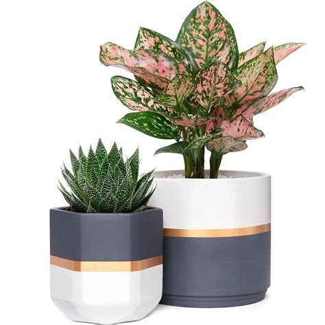 Ceramic Flower Pot Set of 2 Cylinder And Hexagonal Planter | Etsy ...