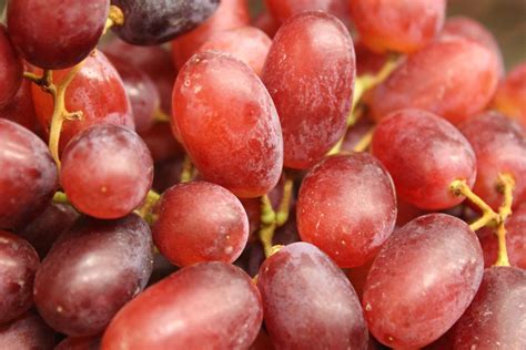 Red Seedless Grapes - 500g - The Northampton Grocer