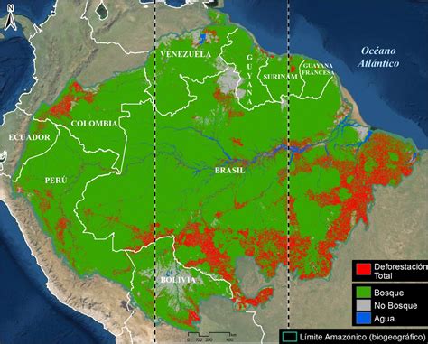 Tropical Rainforest Map