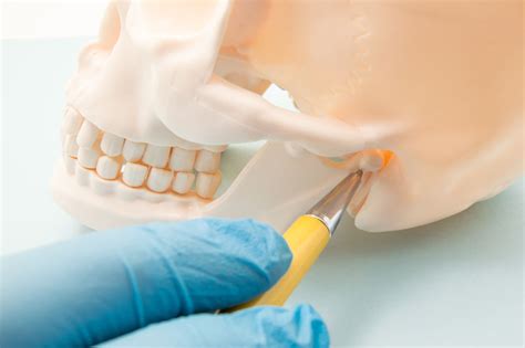 How to Identify and Treat a Fractured or Dislocated Jaw