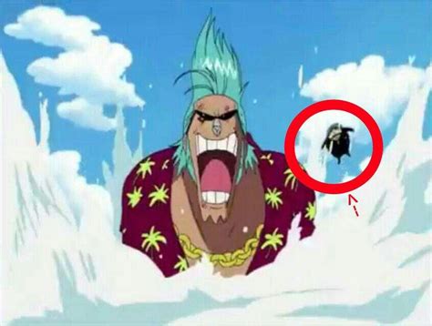 💭My Thoughts On: Franky vs. Fukuro!💭 | One Piece Amino