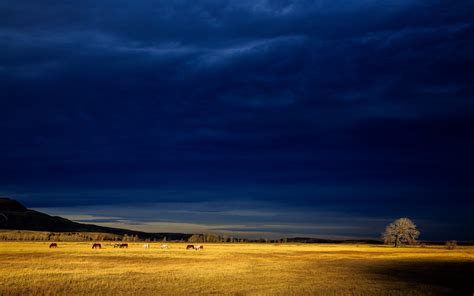 Dark Blue Storm Clouds wallpaper | nature and landscape | Wallpaper Better