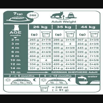 Feeding chart for German shepherd dogs according to their age ...