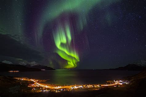 Kingdom of Norway: Aurora Borealis photographed by Marianne Bergli on ...