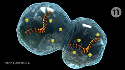 The new physics needed to probe the origins of life