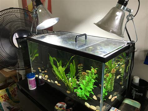 Upgraded my hood to a DIY Acrylic top with lights! : r/Aquariums