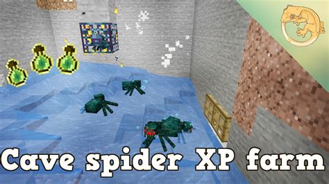 Aprender sobre 79+ imagem cave spider xp farm - br.thptnganamst.edu.vn