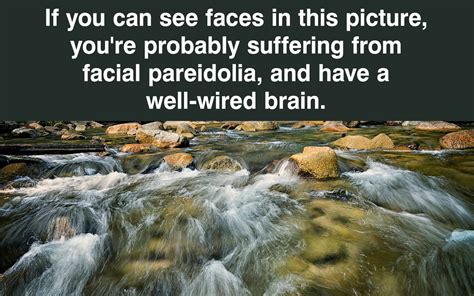 The Pareidolia Phenomenon: Explained With Significant Examples - Psychologenie