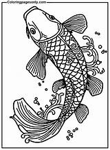 40  Koi Fish Coloring Pages Free Printable PDF & Online sketch template