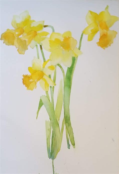 laura's watercolors: daffodils 2