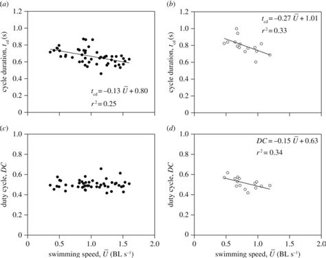 Swimming mechanics as a function of swimming speed in Nautilus ...