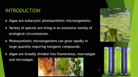 SOLUTION: Microalgae harvesting techniques - Studypool